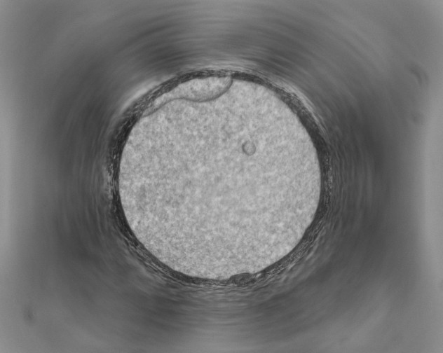 X0000111641064200908281152