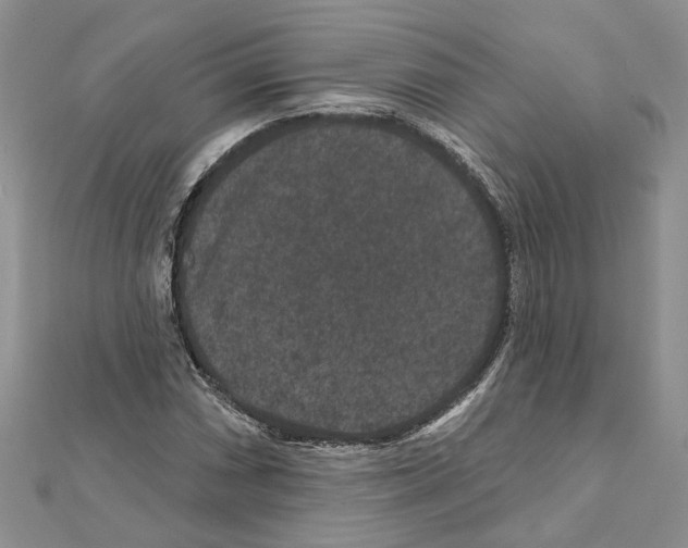 X0000111641066200908281152