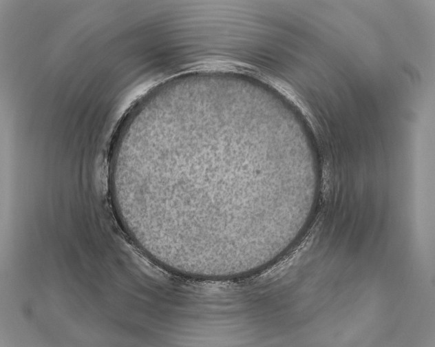 X0000111641067200908281152