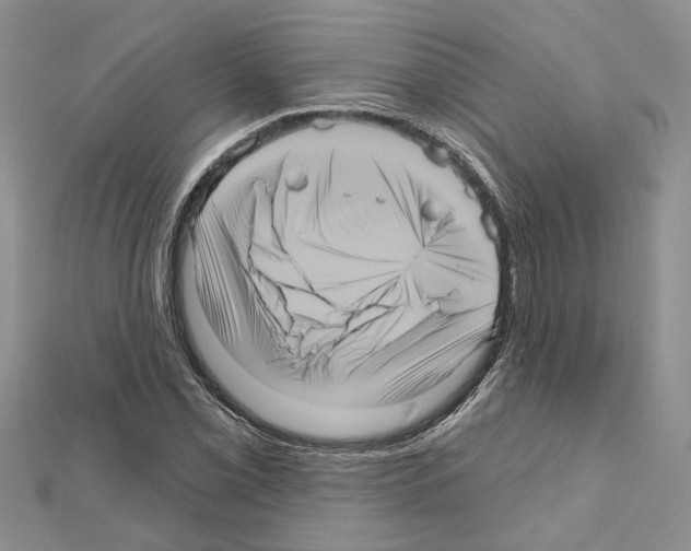 X0000111641069200908281152