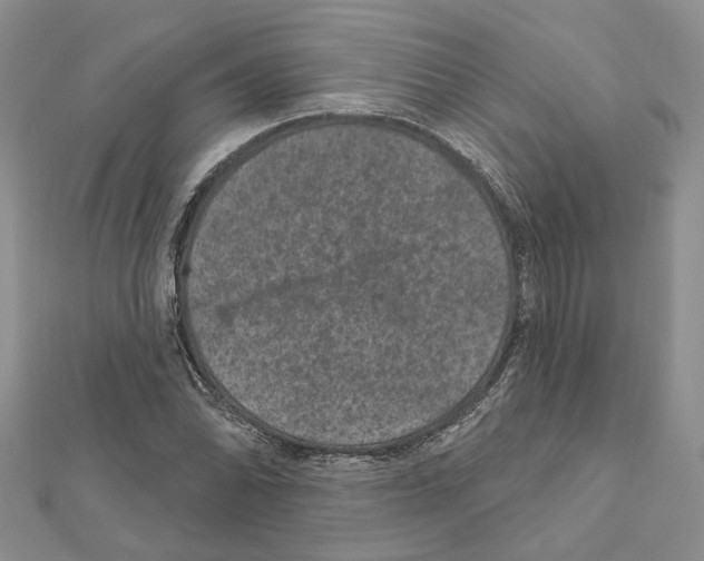X0000111641070200908281152