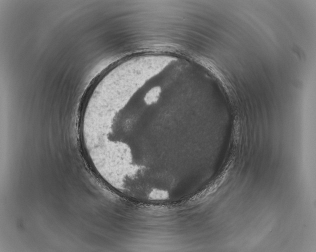 X0000111641071200908281152