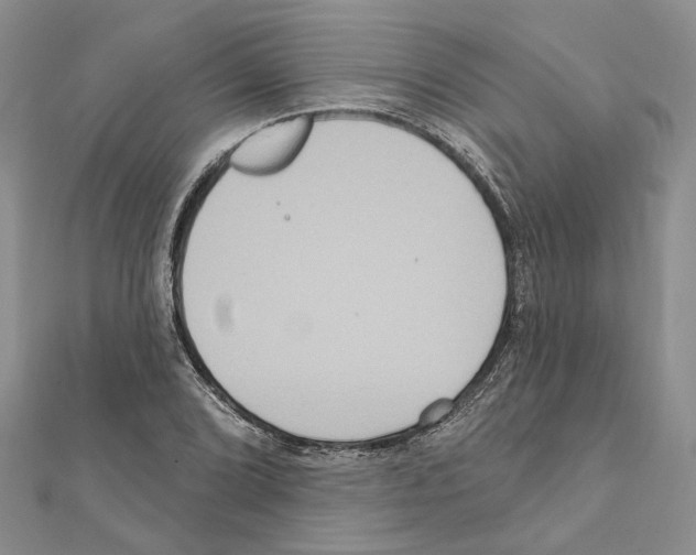 X0000111641072200908281152