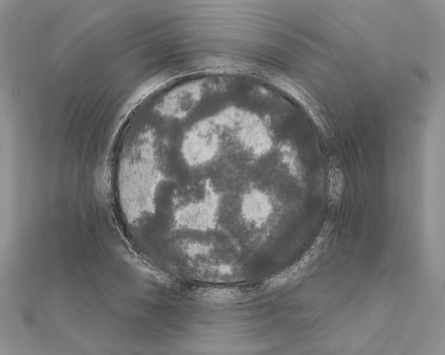 X0000111641074200908281152