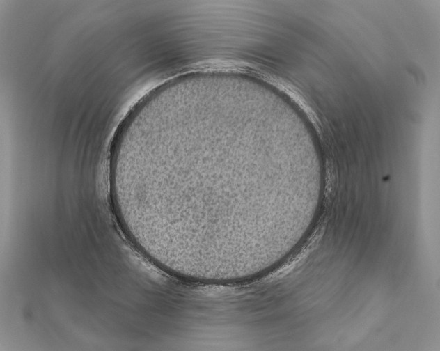 X0000111641075200908281152