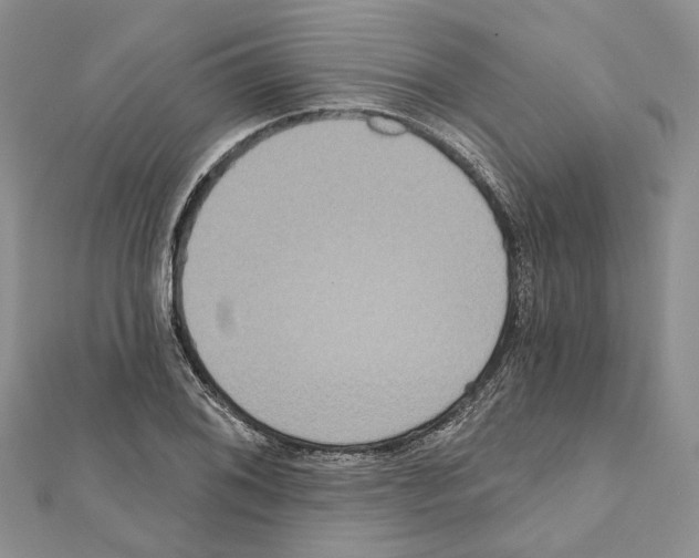X0000111641076200908281152