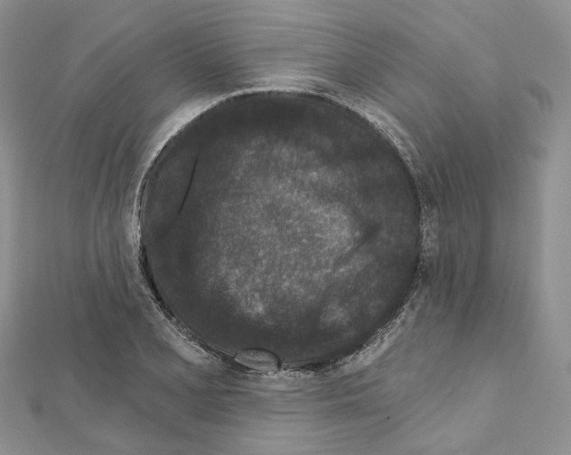 X0000111641077200908281152