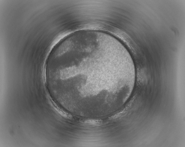 X0000111641078200908281152