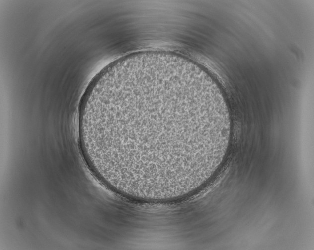X0000111641079200908281152