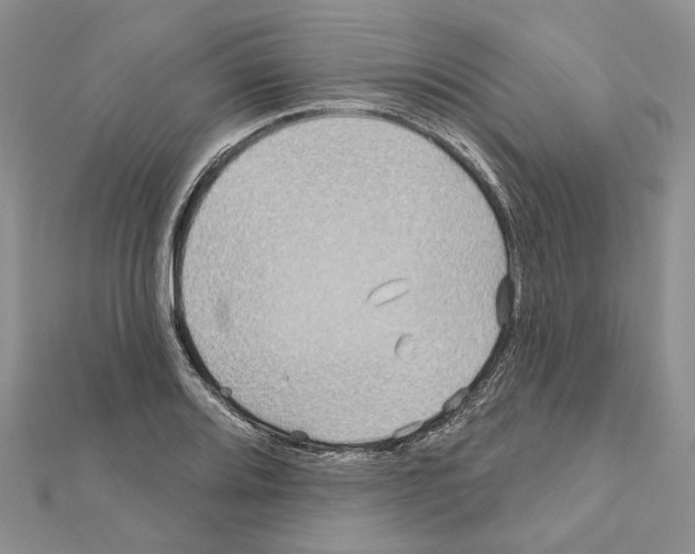 X0000111641080200908281152