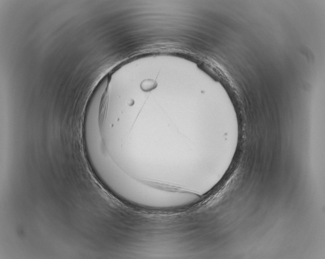 X0000111641081200908281152