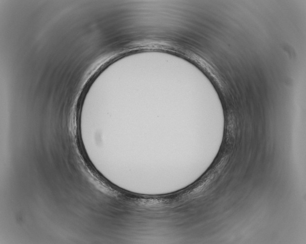 X0000111641082200908281152