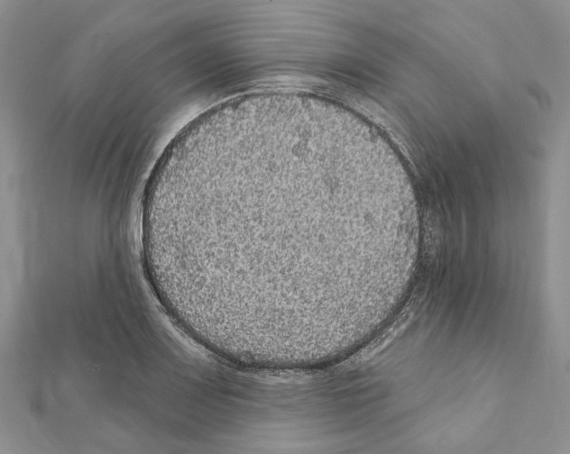 X0000111641083200908281152