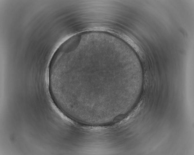 X0000111641084200908281152