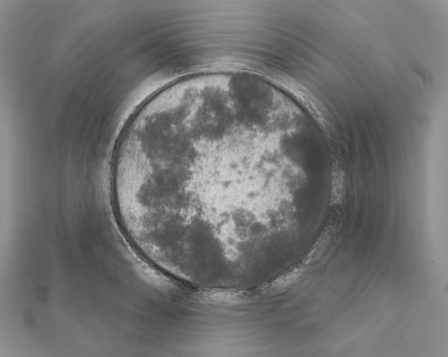 X0000111641086200908281152