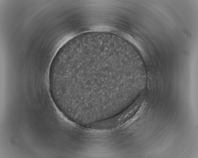 X0000111641087200908281152