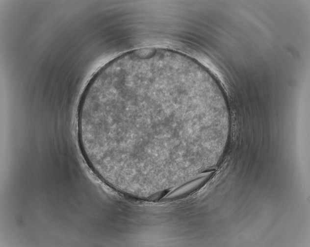 X0000111641088200908281152