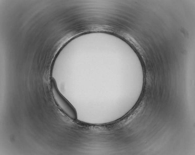 X0000111641089200908281152
