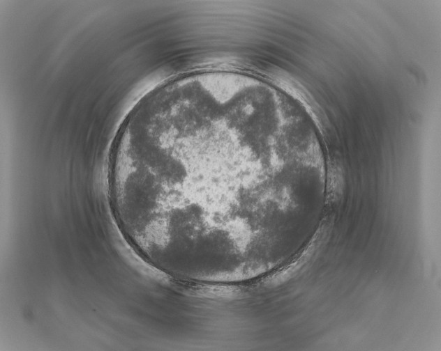 X0000111641090200908281152