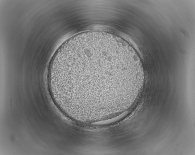X0000111641091200908281152