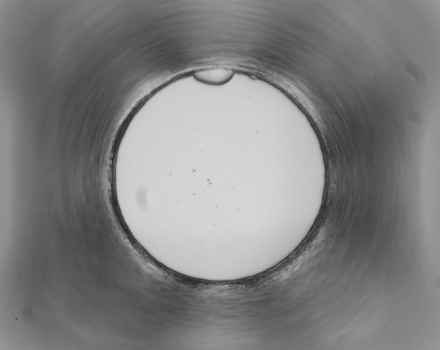 X0000111641093200908281152
