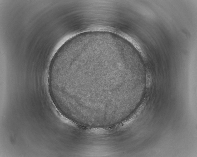 X0000111641094200908281152