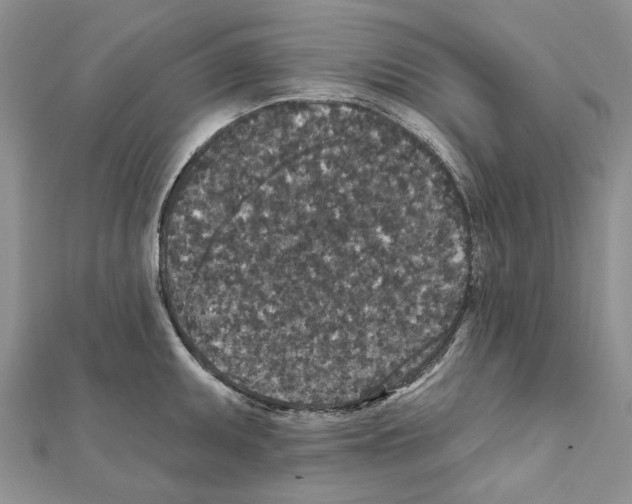 X0000111641095200908281152