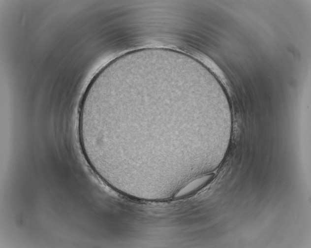 X0000111641096200908281152