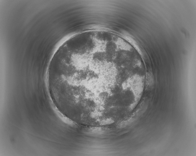 X0000111641098200908281152
