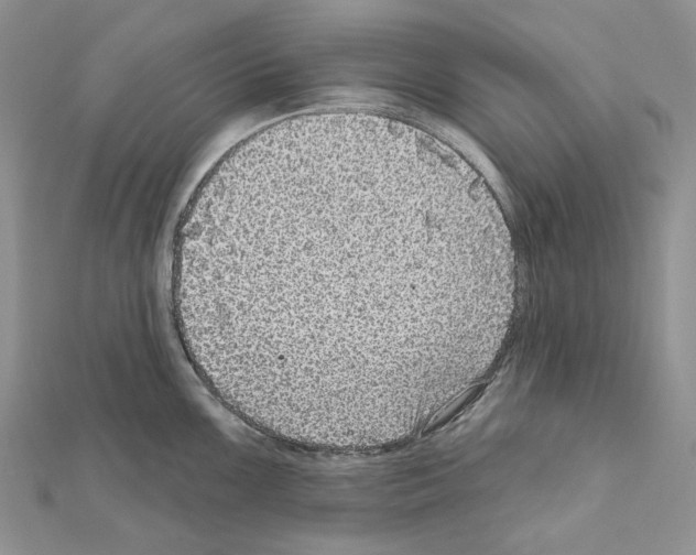 X0000111641099200908281152
