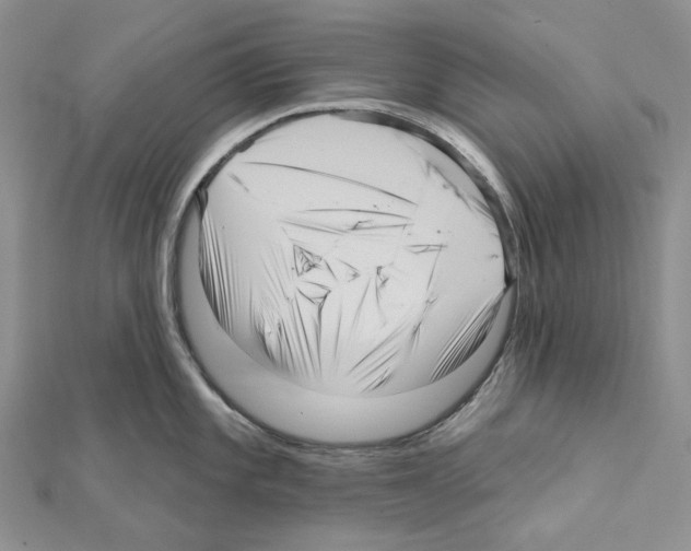 X0000111641101200908281152