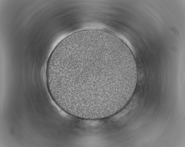 X0000111641103200908281152