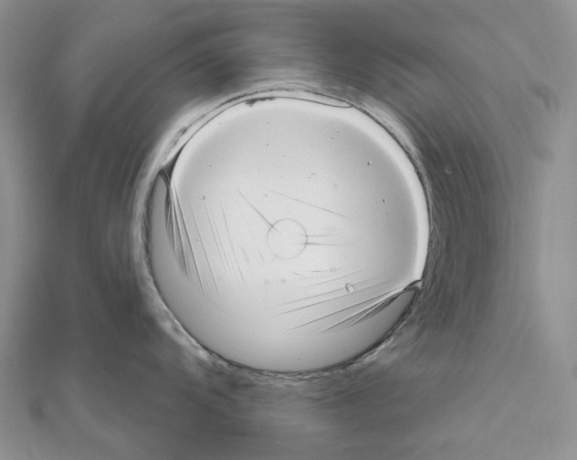 X0000111641104200908281152