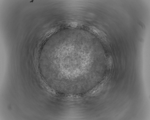 X0000111641105200908281151