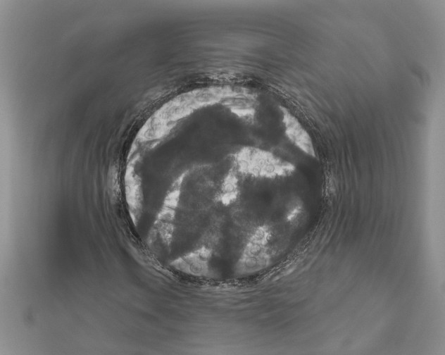 X0000111641106200908281151