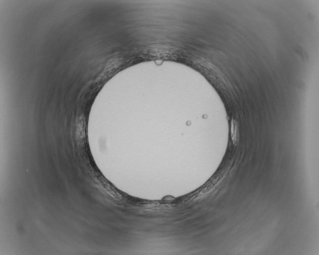 X0000111641107200908281151