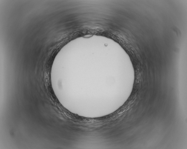 X0000111641109200908281151