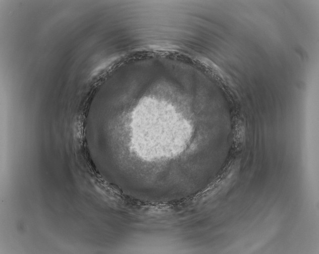X0000111641110200908281151
