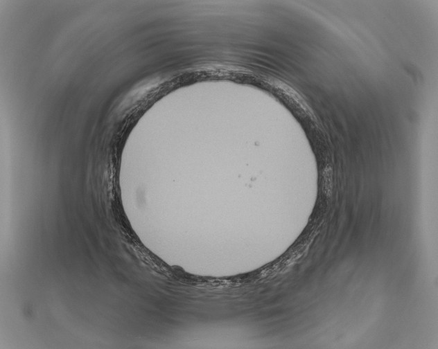 X0000111641111200908281151