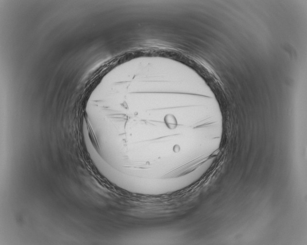 X0000111641112200908281151
