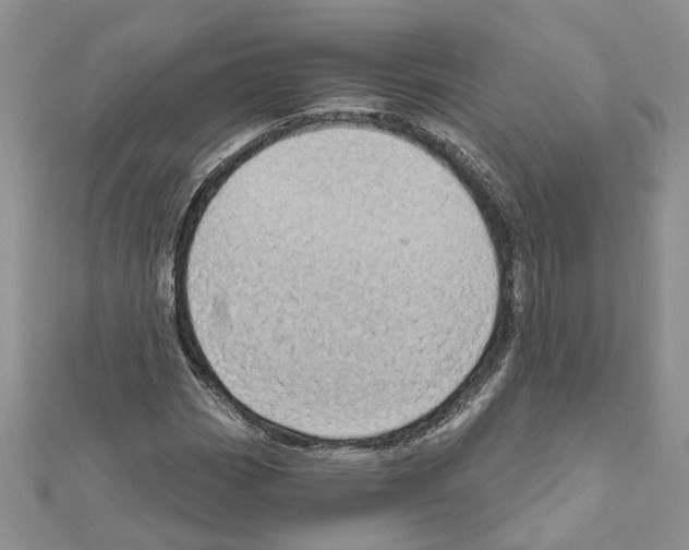 X0000111641113200908281151