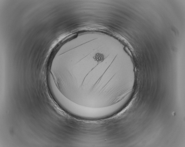 X0000111641114200908281151