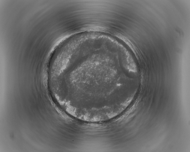 X0000111641115200908281151