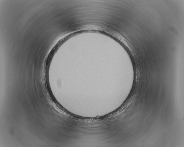 X0000111641116200908281151