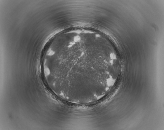 X0000111641117200908281151