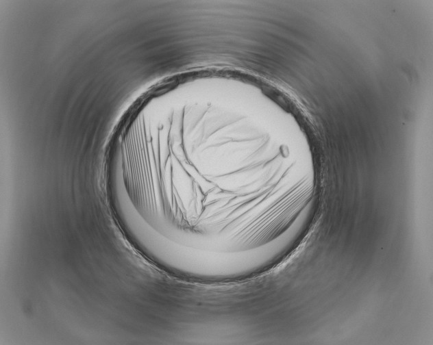 X0000111641118200908281151