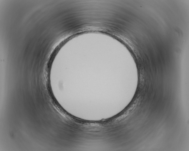 X0000111641119200908281151