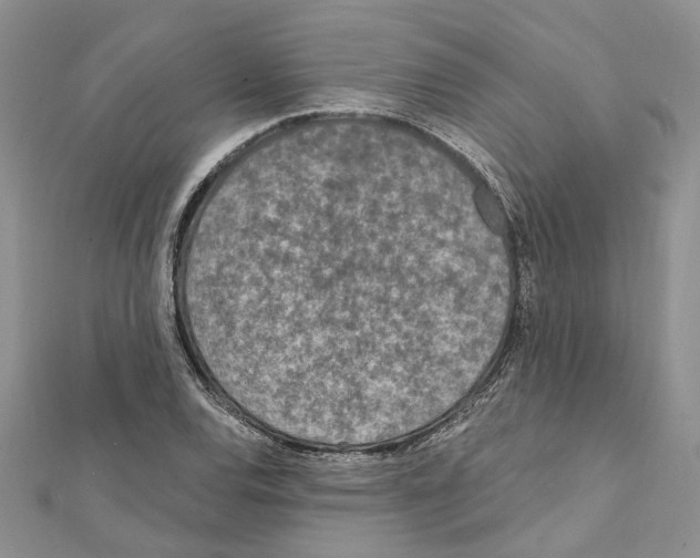 X0000111641120200908281151