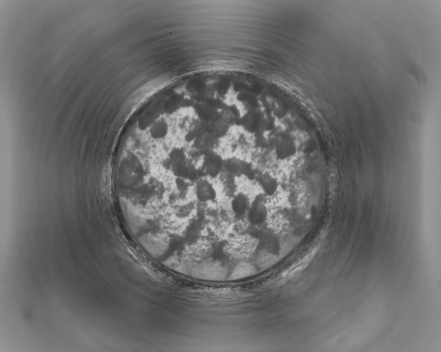 X0000111641121200908281151