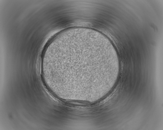 X0000111641123200908281151